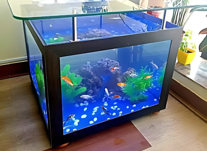 Planted Aquarium In Gurgaon, Noida, Delhi NCR